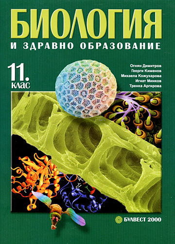 147-5.jpg