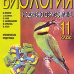 162-6.jpg