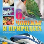 307-5.jpg