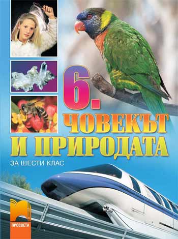 307-5.jpg