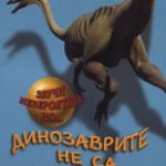 589-4.jpg