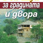 796-1.jpg