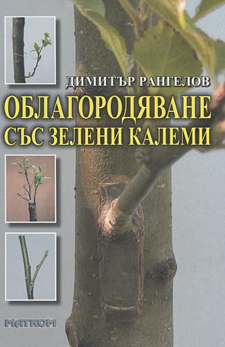 818-7.jpg