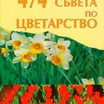 828-9.jpg