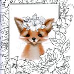 illustrated_colouring _book_1