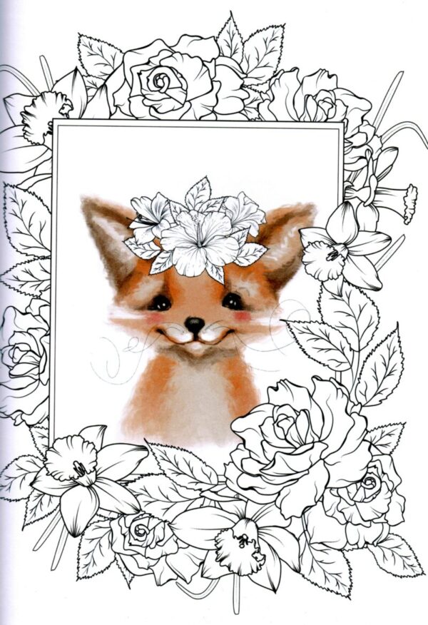 illustrated_colouring _book_1