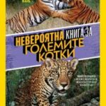 neveroqtna_kniga-na_golemite_KOTKI